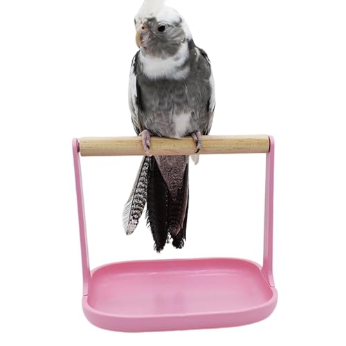 Siuwddee Tabletop Bird Barch, Vogelausbildungsstand - Stabiler Trainingsbarsch mit Slip-Basis - Sicheres Stand Vogelspielzeug für die orgres. Forschung für Fotografie von Siuwddee