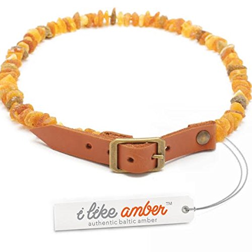 ilikeamber.com Bernsteinhalsband Hunde, Bernsteinkette Hund mit Ledergurt, Zeckenschutz Katze, Baltischer Bernstein aus Litauen ilikeamber.com Bernsteinhalsband Hunde, Bernsteinkette Hund mit Ledergurt, Zeckenschutz Katze, Baltischer Bernstein aus Litauen von Sixyear