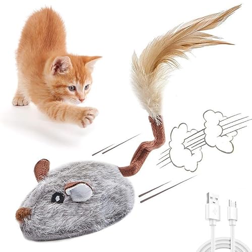 Katzenspielzeug Elektrisch Spielmaus,Katzenspielzeug Maus Elektrisch mit Federschwanz,Interaktives Katzenspielzeug Mäuse USB-Aufladung Kitten Spielzeug Katzenspielzeug Selbstbeschäftigung (Glau) von Skeadex