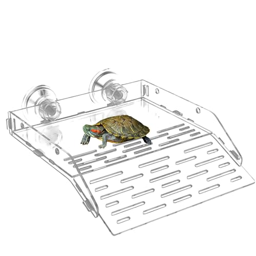 Schildkröten-Aalstation, Schildkröten-Aalbereich, Wasserschildkröten-Aalbereich, Mehrzweck-Acryl-Kletterrampe – Reptilien-Ruheterrasse mit Saugnapf, Schildkrötenbecken-Zubehör für Aquarien von Sklmdrnk