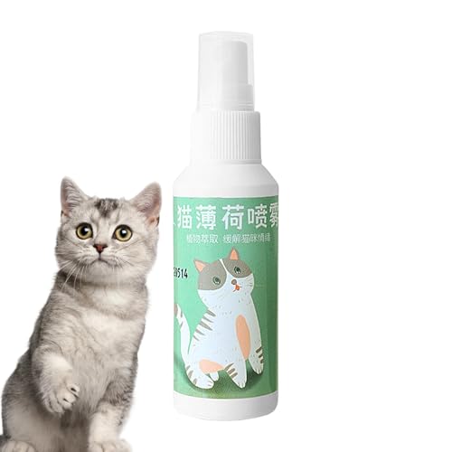 Sklmdrnk Cat Nip Spray, Cat Nip Spray, das wirklich funktioniert - Natürliches, transparentes Katzen- und Kätzchen-Verhaltensspray | Hochwirksame Katzenminze 50 ml, sichere, Nicht süchtig machende von Sklmdrnk