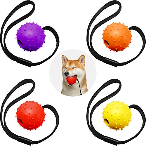 4 Stücke Hunde Ball auf Seil Interaktiver Hunde Training Ball Hunde Spielzeug Ball auf Seil Belohnung Übung Spielzeug für Kleine, Mittel Große Hunde Holen, Fangen, Werfen und Ziehen von Skylety