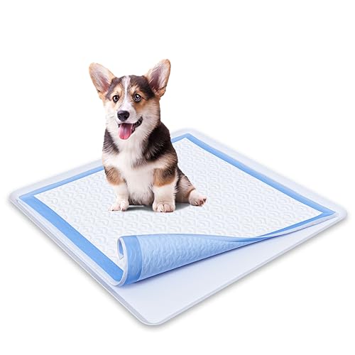 Skywin Hunde-Welpen-Pad-Halter für 61 x 61 cm Trainingspads – Silikon-Wee Wee Wee Pad-Halter, kein Verschütten von Urinierpad-Halter für Hunde, leicht zu reinigen und aufzubewahren (grau) von Skywin