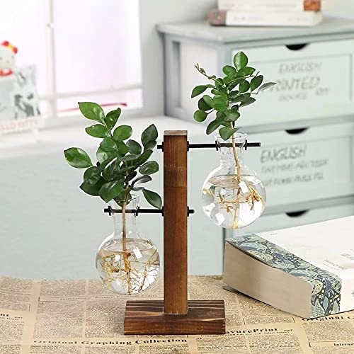 Plant Propagation Station, Plant Terrarium Vase Hydroponics Plant Holder, Indoor Plant Stand, Terrarium Kit for Hydroponics Plants Home Decor, Plant Lover Gifts 2 Bulb Vase von SlenyuBridal