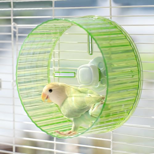 17,3 cm Papagei Silent Running Wheel Papagei Übungsrad Vögel Papageien Schildkröten Hamster Kleintier Leise Laufrad (Grün) von Slepceub