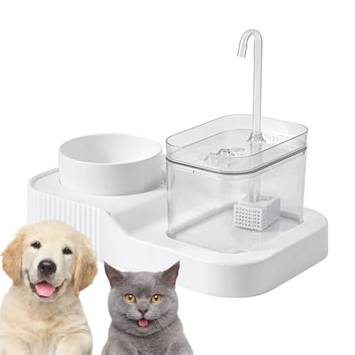 Futternäpfe-Set für Katzenfutter - 2-in-1-Futternapf mit Wasserflasche,Abnehmbares Katzennapf-Set für Nass- und Trockenfutter für kleine, mittelgroße Haustiere und Katzen von Sloane