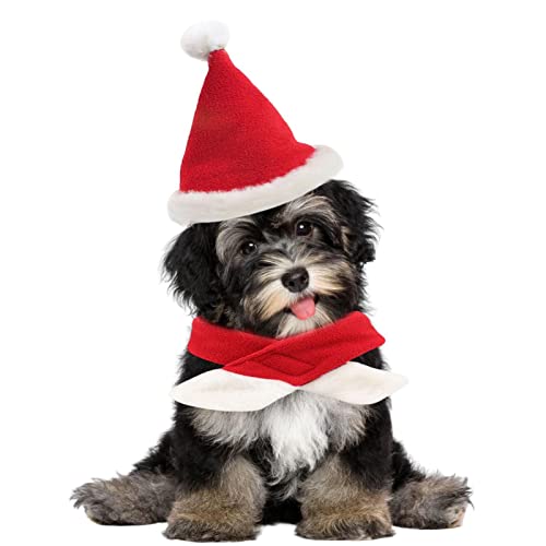 Haustier Katze Hund Weihnachtsmütze mit Schal - Verstellbare Weihnachtsmütze für Hunde und Weihnachtshaustiere, roter Strickschal - Pet Santa Hat Schal Set Holiday Party Cute Costumes for von Sloane