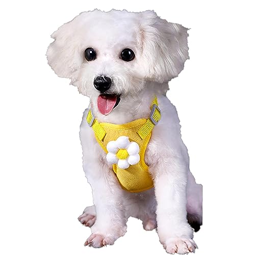 Hundewestengeschirr - Hundegeschirr mit Leine | Verstellbare, weich gepolsterte Hundeweste, atmungsaktive Doppelverschluss-Hundeweste mit Leine für das Lauftraining im Freien von Sloane