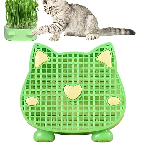 Sloane Katzengras-Pflanztablett | Erdfreies Pflanzgefäß für Katzengras Katzenminze-Katzengrasbox Katzengras-Anzuchtset Keimschale,Kindergartenkatze Für Petcat Grasanbau Katze Gras von Sloane