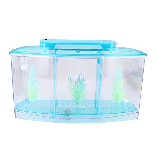 Sluffs Aquarium-Aquarium, transparentes Aquarium-Aquarium, LED-Acryl, DREI Abteilungen, Zucht-Isolationsbox für kleine Fische, Mini-Zucht-Aquarium (Blau) von Sluffs