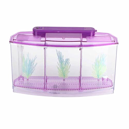 Sluffs Aquarium-Aquarium, transparentes Aquarium-Aquarium, LED-Acryl, DREI Abteilungen, Zucht-Isolationsbox für kleine Fische, Mini-Zucht-Aquarium (Lila) von Sluffs