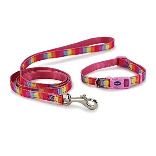 Ancol Small Bite Regenbogen-Halsband und Leine, Set für kleine Hunde und Welpen von Small Bite