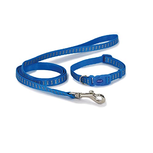 Ancol Small Bite Reflektierendes Halsband und Leine, Set für kleine Hunde und Welpen, Blaue Knochen von Small Bite