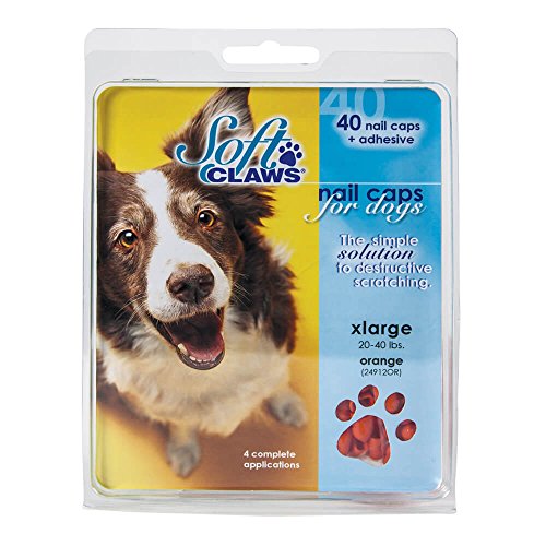 Smart Praxis 40 Zählen Weiche Klauen Nail Kappen für Hunde, Large, Orange von Smart Practice