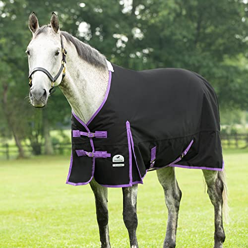 SmartPak Klassische Pferdedecke, 81, Größe M (220 g), Schwarz/Violett von SMARTPAK