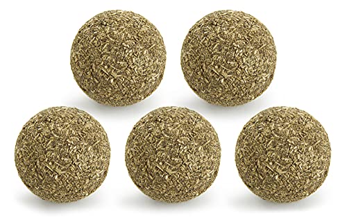 SmartyKat, Catnip Kiss Katzenspielzeug, komprimierter Katzenminze-Ball, natürlich, konzentriert, rein, wirksam, sauberer Vorteilspack (5 ct.) (09155-29995-006) von SmartyKat