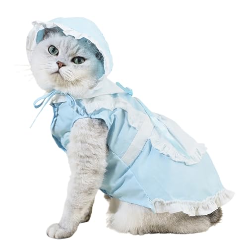 Smbcgdm Katzenrock Haustier Hund Katze Dienstmädchen Kleid mit Hut Cosplay Bequem Blau S von Smbcgdm