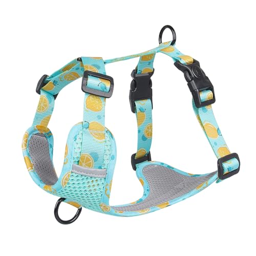 Smbcgdm Pet Traction Harness Fruit Pattern Pet Harness Outing Traction Flexible Lake Blue L von Smbcgdm