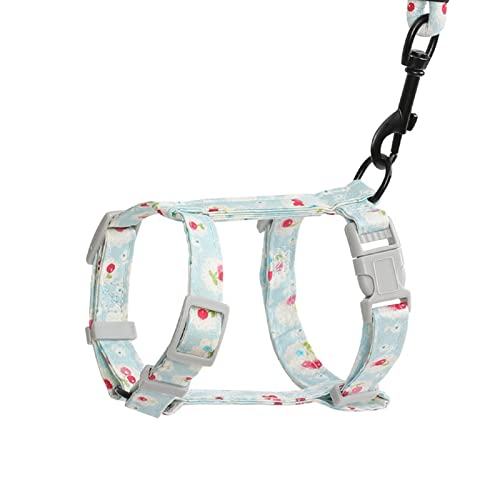 Smbcgdm Pet Traction Seil Zurück Gurt Anti-Flucht Dekorative Zwei Größen Bissfeste Pet Leine Zurück Strap Pet Supplies Baby Blau S von Smbcgdm