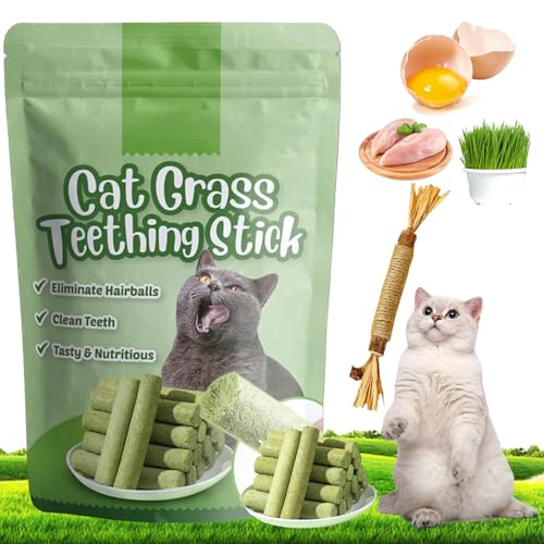 Berdexa Cat Grass Teething Stick, Cat Grass Teething Stick, Cat Grass Chew Sticks, Cat Grass Teething Sticks for Indoor Cats, for CaDental Care, Increase Appetite (1 Pcs) von Smilamo