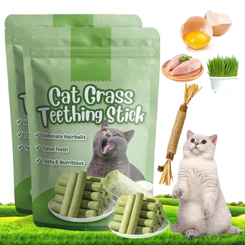 Berdexa Cat Grass Teething Stick, Cat Grass Teething Stick, Cat Grass Chew Sticks, Cat Grass Teething Sticks for Indoor Cats, for CaDental Care, Increase Appetite (2 Pcs) von Smilamo