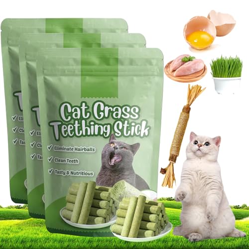 Berdexa Cat Grass Teething Stick, Cat Grass Teething Stick, Cat Grass Chew Sticks, Cat Grass Teething Sticks for Indoor Cats, for CaDental Care, Increase Appetite (3 Pcs) von Smilamo