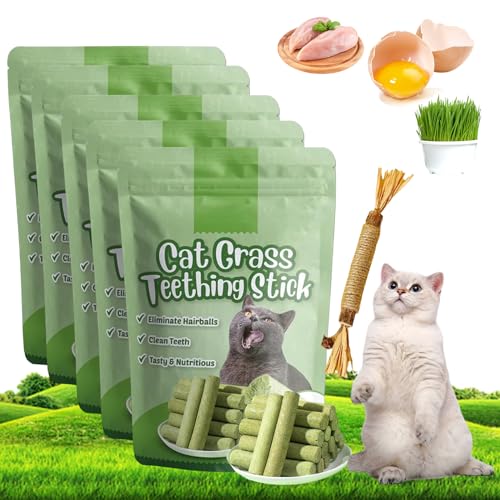 Berdexa Cat Grass Teething Stick, Cat Grass Teething Stick, Cat Grass Chew Sticks, Cat Grass Teething Sticks for Indoor Cats, for CaDental Care, Increase Appetite (5 Pcs) von Smilamo