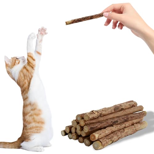 36pcs Katzenminze Sticks, Natürliche Kauhölzer für Katzen zur Zahnpflege, Katzenminze Spielzeug, gegen Mundgeruch und für verbesserten Appetit, Sicheres und gesundes Katzen-Spielzeug von Smomend