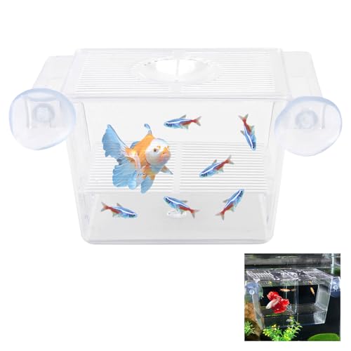 Fischzuchtkasten, Acryl Fisch-Isolationsbox mit Saugnäpfen, Selbstschwimmende Brutstätte für Babyfische, Garnelen und Meeresfische, Ideal für Guppys, Betta, Clownfische und Lebendgebärende von Smomend