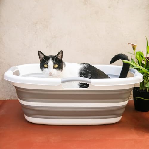 Smoochie 2 in 1 Hundebadewanne Waschstation, zusammenklappbare und tragbare Badewanne für Hunde, Katzen Baden, Dusche und Fellpflege, Indoor und Outdoor von Smoochie