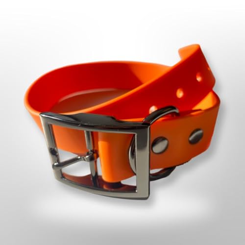 SNIFFLS Premium Hundehalsband, orange - Mittelgroße Hunde (M) - Verstellbar, wasserabweisend, leicht, robust von Sniffls