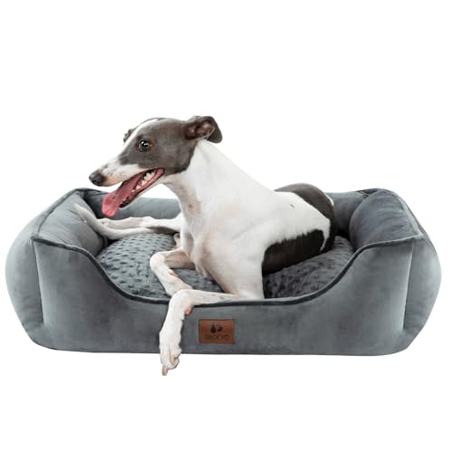 Snocyo Hundebett Mittlgroße und Kleine Hunde 75×65×20cm, Waschbare Hundekissen, Bezug abnehmbar, Hundesofa Hundekorb mit erhöhten Ränder, Flauschige Katzenbett Hundebett mit Noppen, Dunkelgrau von Snocyo