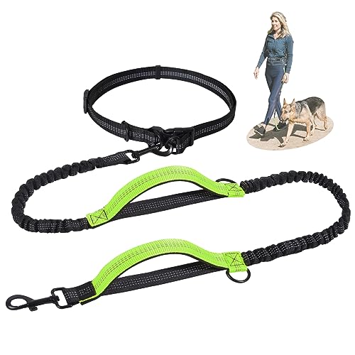 Snocyo Joggingleine Hunde, Jogging Hundeleine für Mittelgroße und Große Hunde, Elastische und Reflektierende Hundeleine, Einziehbare Leine mit Doppelgriff & Taillengürtel von Snocyo