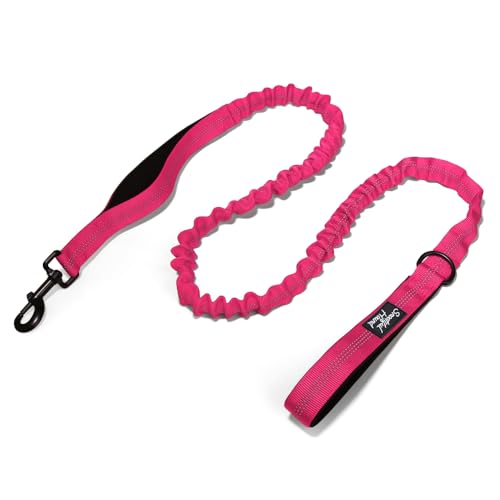 Bungee Hundeleine – Doppelgriff stoßdämpfende Leine – verschiedene Farben – 150–200 cm (Rosa) von Snootiful Hound