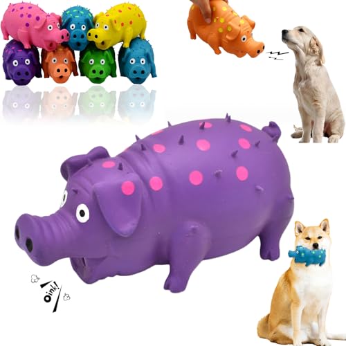 Snrtevu Tierbedarf-Plus Quietsch-Spaß Schweinchen - Hundespielzeug, Spotted Pig Sound Spielzeug, Hund Quietschende Schwein Spielzeug, Latex Schwein Hund Chew Spielzeug (1PC Purple) von Snrtevu