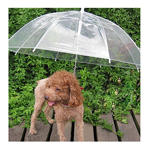 Haustier-Regenschirm (Hund/Katzenschirm), Hundeleine, transparent, wasserdicht, Haustier-Regenschirm für trockene Spaziergänge bei Regen, Schnee von Sobotoo