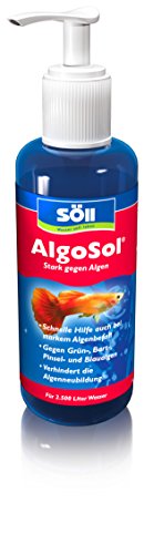 Söll 80481 AlgoSol Aquarienpflege gegen Algen im Aquarium 250 ml - hocheffektives Aquarienpflegemittel Algenmittel mit Lichtfilter gegen Grünalgen Bartalgen Pinselalgen Blaualgen von Söll