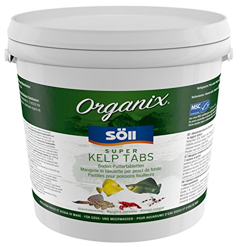 Söll 83772 Organix Super Kelp Tabs, 5 l - Boden-Futtertabletten für Süß- und Meerwasserfische von Söll