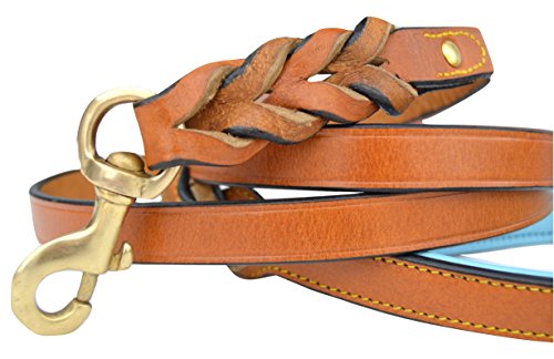 Soft Touch Collars Geflochtene Hundeleine, Leder, hellbraun, mit blaugrünem gepolstertem Griff, 1,8 m x 1,9 cm breit, aus genarbtem Echtleder von Soft Touch Collars