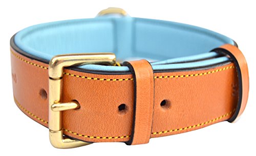 Soft Touch Collars Gepolstertes Hundehalsband, aus Leder, extra groß, Hellbraun und Blaugrün, robuste Messingschnalle, 71,1 cm lang x 4,5 cm breit, Halsumfang 55,9 cm bis 63,5 cm, Größe XL von Soft Touch Collars