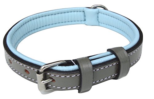 Soft Touch Collars Gepolstertes Hundehalsband für kleine Hunde, Leder, Größe S, 40,6 cm lang, 1,6 cm breit, für Halsumfang von 27,9 cm bis 34,3 cm von Soft Touch Collars