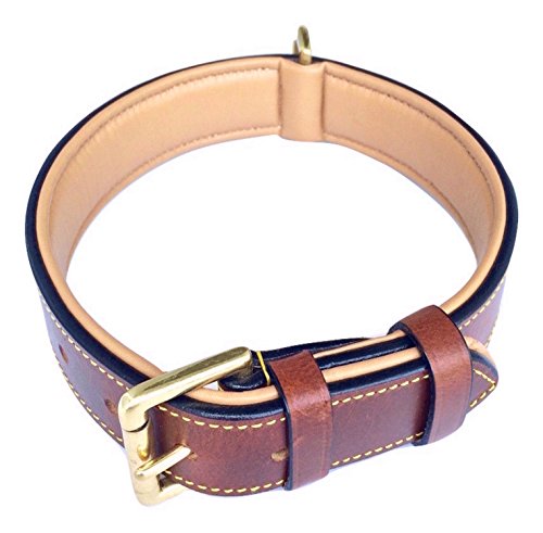 Soft Touch Collars Gepolstertes Leder-Hundehalsband, groß, Braun, echtes Leder, 61 cm lang x 3,8 cm breit, passend für Halsumfang von 45,7 cm bis 53,3 cm von Soft Touch Collars