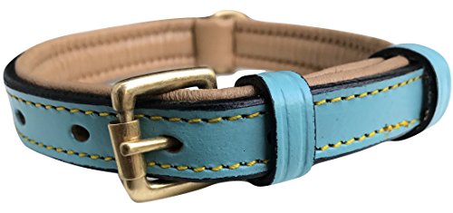 Soft Touch Collars Hundehalsband, Leder, gepolstert, Türkis mit beigefarbener Polsterung, 40,6 cm lang x 1,6 cm breit, Halsumfang 27,9 cm bis 34,3 cm von Soft Touch Collars