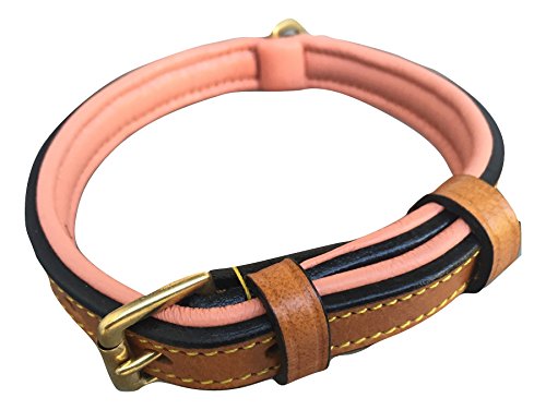 Soft Touch Collars Hundehalsband, gepolstert, Leder, Hellbraun mit Korallenpolsterung, 40,6 cm lang x 1,6 cm breit, Halsumfang 27,9 cm bis 34,8 cm von Soft Touch Collars