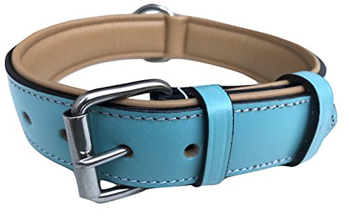 Soft Touch Collars Hundehalsband Leder gepolstert türkis beige Größe L mit weicher Komfortpolsterung von Soft Touch Collars