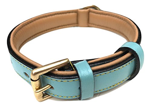 Soft Touch Collars Hundehalsband aus Leder, gepolstert, Türkis mit beigefarbener Polsterung, Größe M von Soft Touch Collars