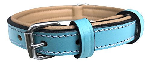 Soft Touch Collars Kleines gepolstertes Hundehalsband aus Leder mit Komfortpolsterung, Türkis und Beige, 40,6 cm lang x 1,6 cm breit, passend für Halsumfang 27,9 cm bis 34,3 cm von Soft Touch Collars