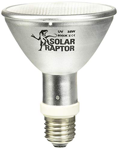 SOLAR RAPTOR HID UV-Strahler, Metalldampflampe, Wärme & UV-Lampe für Terrarien (35 Watt/Flood) von SOLAR RAPTOR