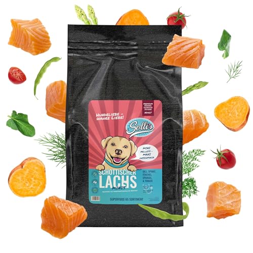 Sollis Trockenfutter Mini Hund | Getreidefrei | Zuckerfrei | Schottischer Lachs | Trockenfutter für kleine Rassen | 2kg von Sollis