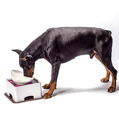 Sonew Verstellbarer Futtertisch aus Kunststoff für Haustiere mit Rutschfester Silikonunterlage für Kleine Hunde und Katzen, Leicht zu Reinigende und Stabile Futterstation (L) von Sonew